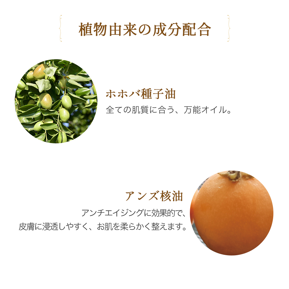 LLE ミネラルマッサージオイル [ホホバ/1L] 業務用エステ・マッサージ商材通販 | BEAUTY CART